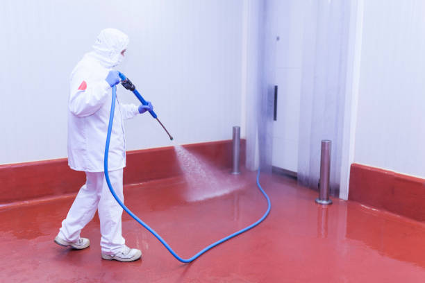 Professional Pressure Washing in Mantua, VA