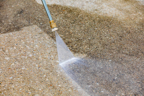Animal Enclosure Cleaning in Mantua, VA